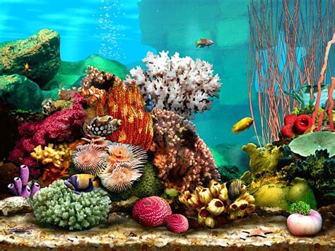 10 Awesome Free Screensavers for Windows | Marine aquarium, Aquarium screensaver, Aquarium