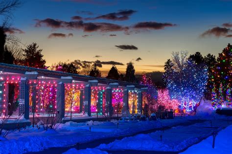 Blossoms of Light | Denver Botanic Gardens