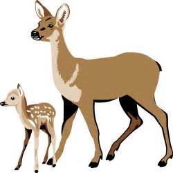 Woodland clipart fawn, Woodland fawn Transparent FREE for download on WebStockReview 2024