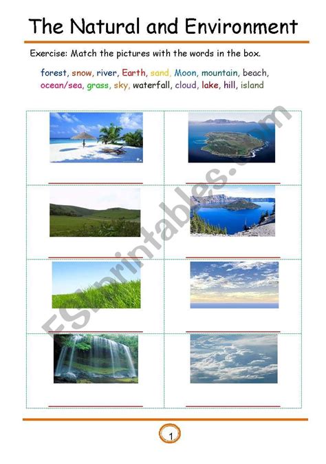 The natural and environment - ESL worksheet by rueti