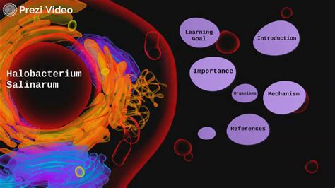 Halobacterium Salinarum by Jeremy Pham on Prezi Video