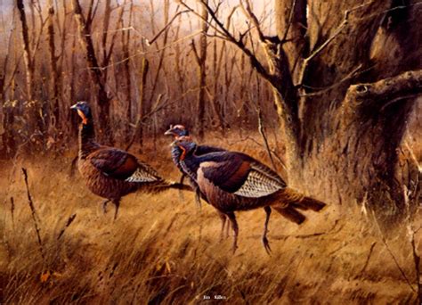 Free Download: Wildlife Paintings