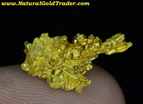 2.24 G. Round Mountain Nevada Gold Specimen