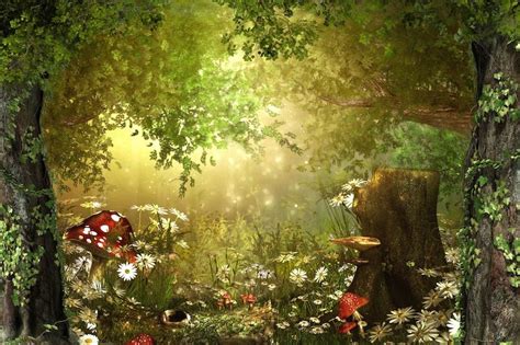 Magic Forest Wall Mural / Fairy Wall Mural / Enchanting Woodland ...