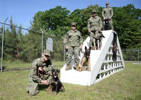 Pax River Security opens Military Working Dog kennel on base | Quarterdeck | militarynews.com