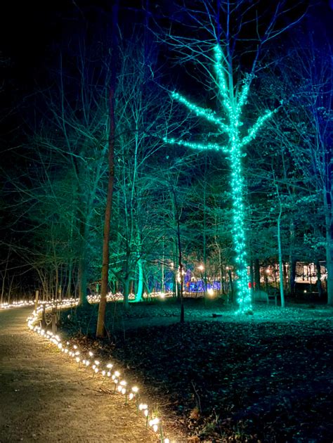 The 9 Best Christmas Light Displays Near Cincinnati - Wander Cincinnati