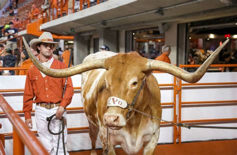 History of the Texas Longhorns Mascot