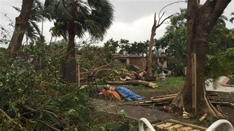 Tornado Clean Up Continues in Miami Springs – NBC 6 South Florida