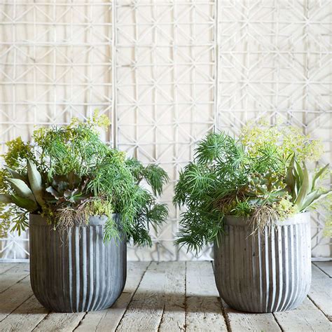 Fiberclay Barrel Pots: Gardenista