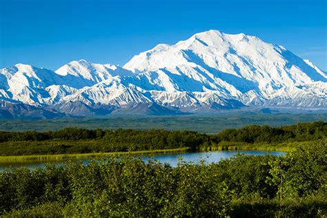 5 Things You Didn’t Know About Denali National Park