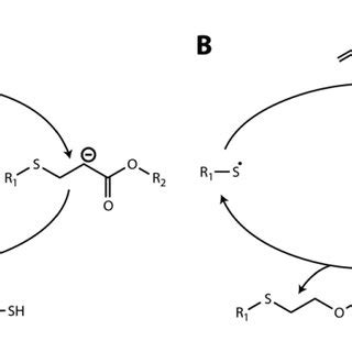 Thiol-ene reaction mechanisms | Download Scientific Diagram