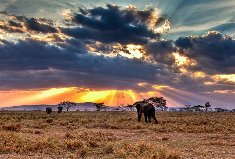Budget Travel in Serengeti National Park | Safari Travel Guide
