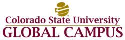 csu global campus launches online master of information technology ...