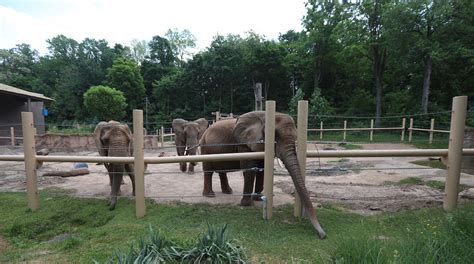 Seneca Park Zoo responds to ‘worst for elephants’ list ranking