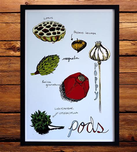 Seed Pod Identification Art Print | The beauty of a plant doesn't end ...