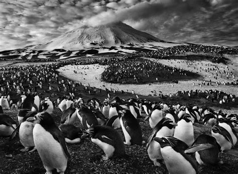 Sebastião Salgado: The Genesis Project | Black & White Magazine | For ...