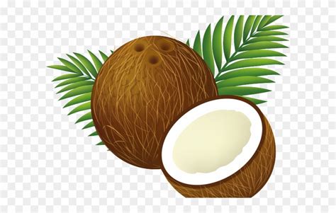 Download Coconut Clipart Clip Art - Clip Art Coconut - Png Download ...