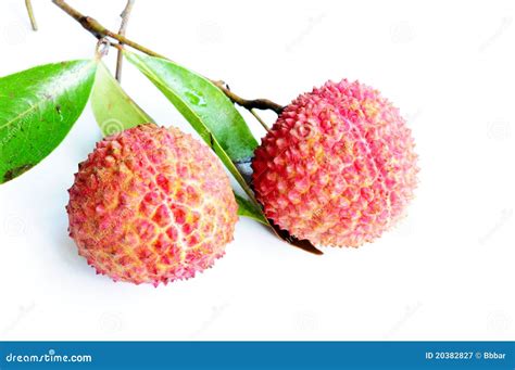 Lichi fruits stock image. Image of diet, lychee, china - 20382827