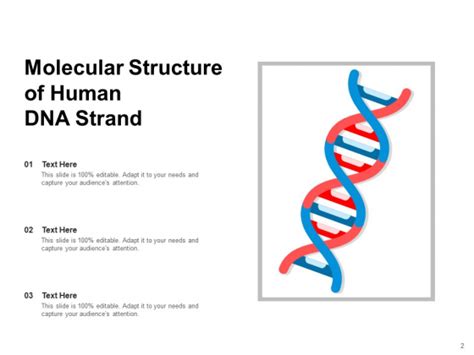 DNA Ppt Template Molecular Structure Puzzle Pieces Ppt PowerPoint ...