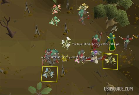 OSRS Forestry Guide - Everything You Need to Know - OSRS Guide