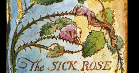 Poem "The Sick Rose" by William Blake Summary, Explanation - Litfogg