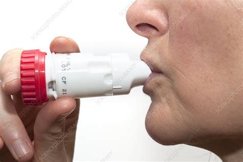 Asthma turbohaler in use - Stock Image - C014/2722 - Science Photo Library