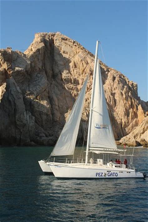 Pez Gato Cabo Sailing Catamarans (Cabo San Lucas) - 2018 Lo que se debe saber antes de viajar ...