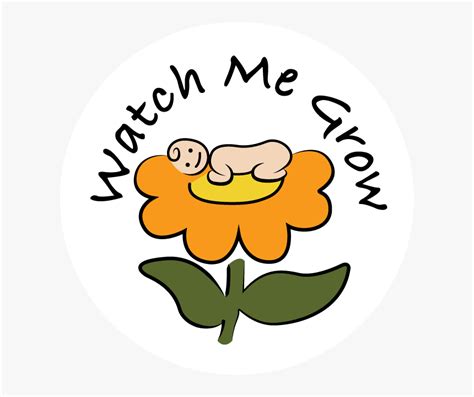 Watch Me Grow, HD Png Download - kindpng