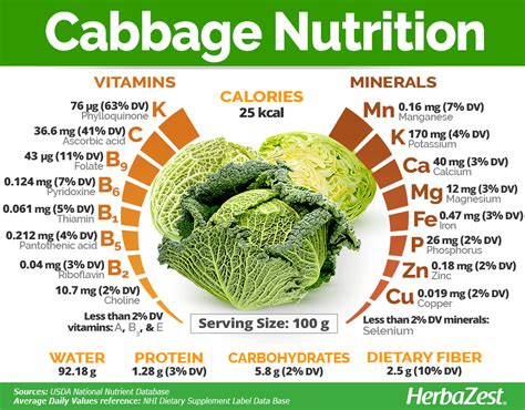 Cabbage Nutrition | Cabbage nutrition, Food health benefits, Nutrition