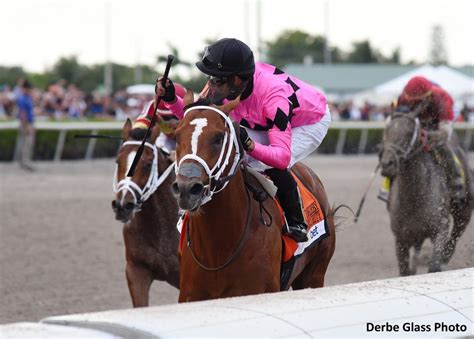 Maximum Security Goes Gate-To-Wire In Florida Derby - Horse Racing News ...