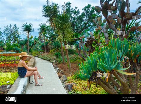 Madeira Botanical Gardens Stock Photo - Alamy