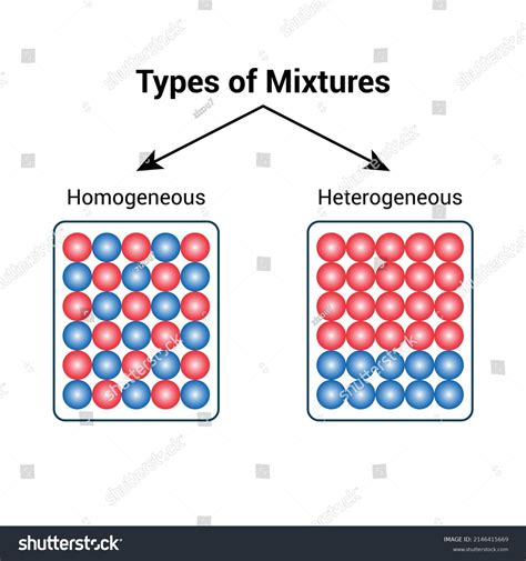 Types Mixture Homogeneous Heterogeneous Diagram Stock Vector (Royalty ...