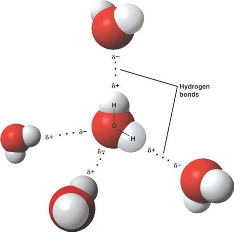 water_molecule.html 03_02WaterMolecules_L.jpg