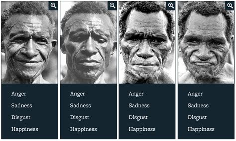 Facial Expression | Universal Emotions | Paul Ekman Group