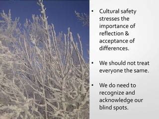 Cultural Safety in the Workplace | PPT