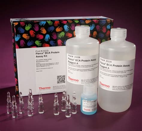 Thermo Scientific™ Pierce™ BCA Protein Assay Kits | Fisher Scientific