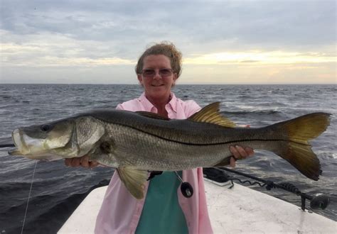 Snook Fishing Charters | Floridas Best Snook Fishing