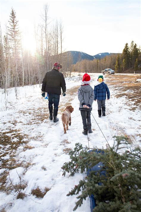 A Canadian Christmas Tree Tradition - Say Yes