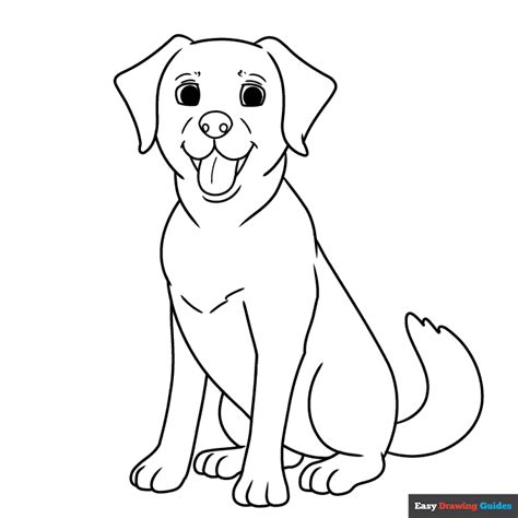 Labrador Coloring Page | Easy Drawing Guides