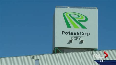 Markets react favourably to PotashCorp, Agrium merger talks | Globalnews.ca