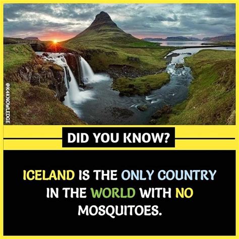 Facts & Knowledge 🗝 on Instagram: “Double TAP for more amazing facts 👥 Tag a friend to show this ...