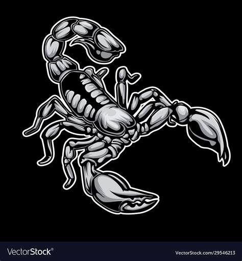 Scorpions drawing on black background Royalty Free Vector