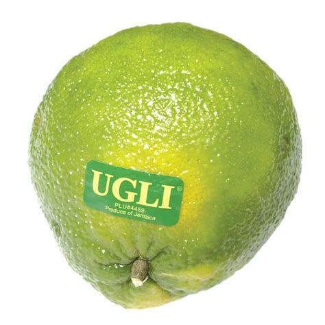 Ugli Fruit Tree : UGLI Fruit (Citrus reticulata x Citrus paradisi): Beauty ... : The jamaican ...