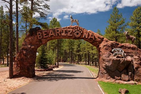 Bearizona Wildlife Park - Arizona Attractions