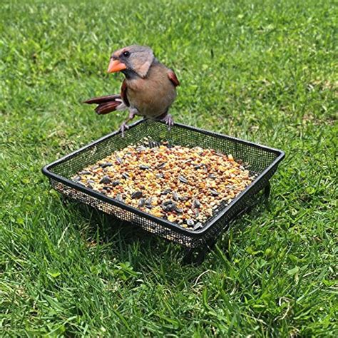 GB-6889 Ground Bird Feeder Tray For Feeding Birds That Off The Durable Compact 7 192750755504 | eBay