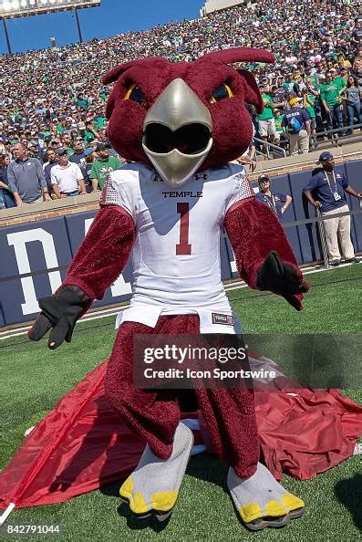 Temple Owls mascot Hooter the Owl celebrates during the NCAA football ...