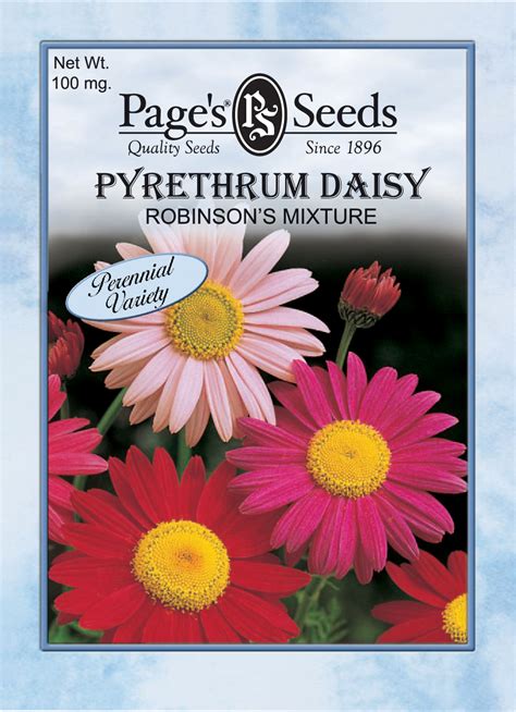 Pyrethrum, Robinson’s Mixture | The Page Seed Company, Inc