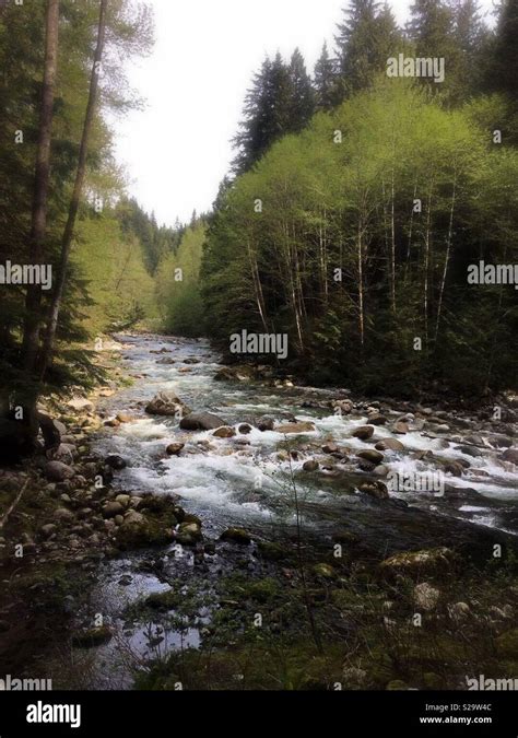 Nature in Canada, Vancouver Stock Photo - Alamy