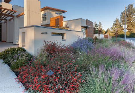 Colorful drought tolerant landscape plants wrap around this bold contemporary home. Modern ...