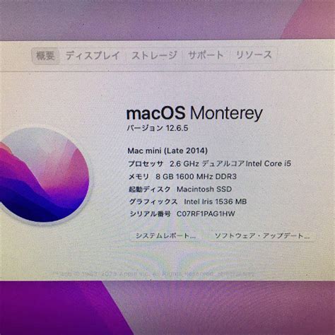 28日まで! 759) 新品SSD 1TB Mac mini Late 2014 tubalboaconsentido.gob.pa